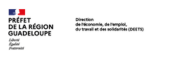 isp prefeture guadeloupe deets